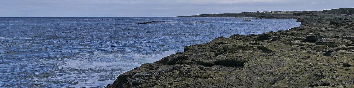 Waves breaking against a low rocky shoreline under a pale sky, with houses scattered along the headland in the distance.